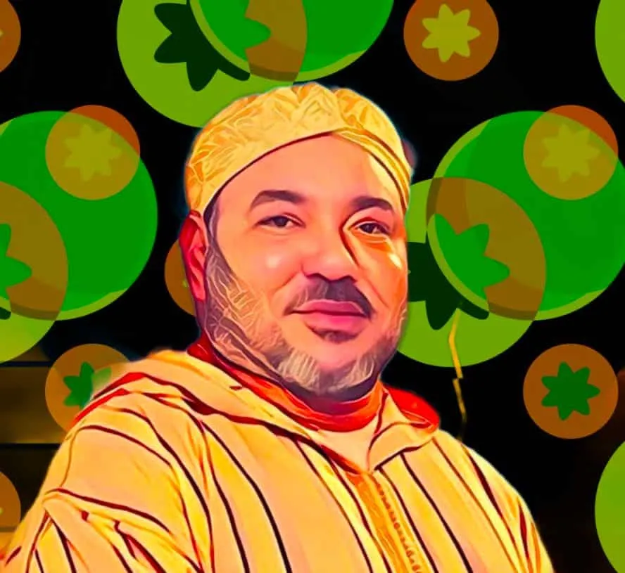 King Mohammed VI